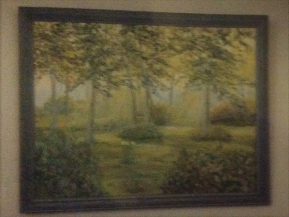 De zon priemt door het bos image