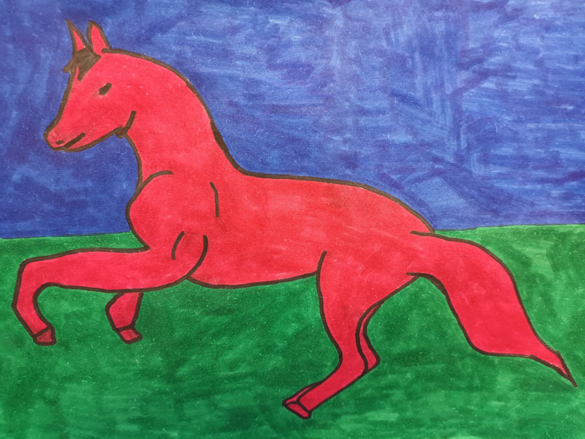 Horse  image