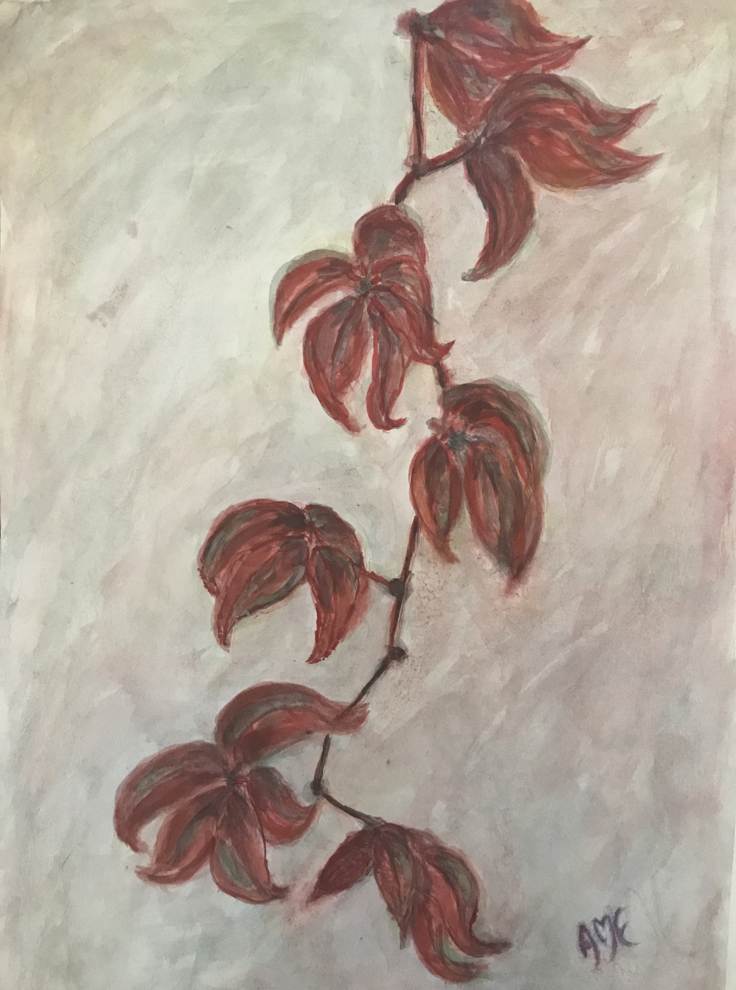 Virginia Creeper image
