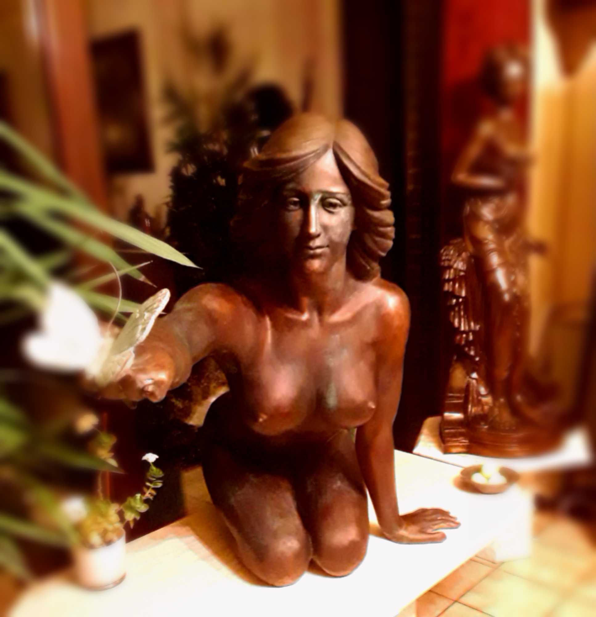 Het Vlindermeisje  / The Butterfly Girl  image