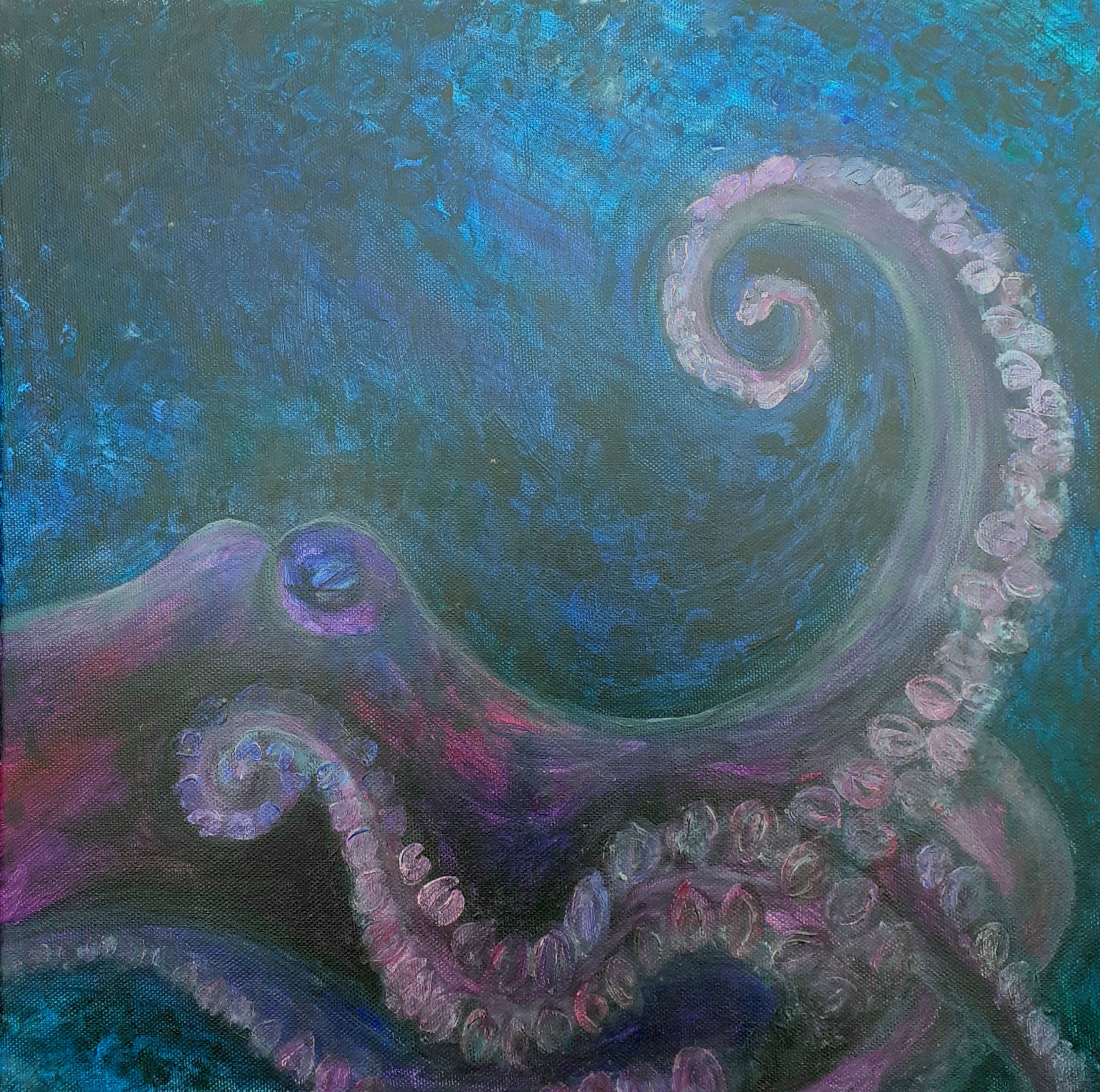 Octopus image