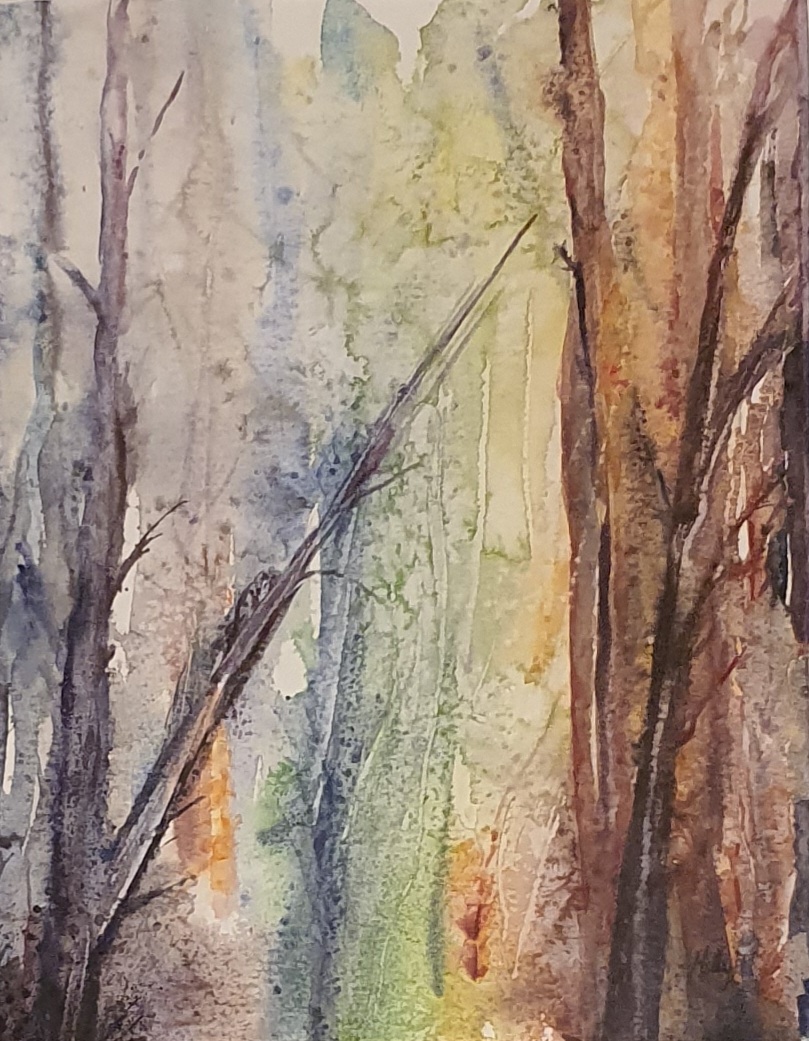 Forest colours image