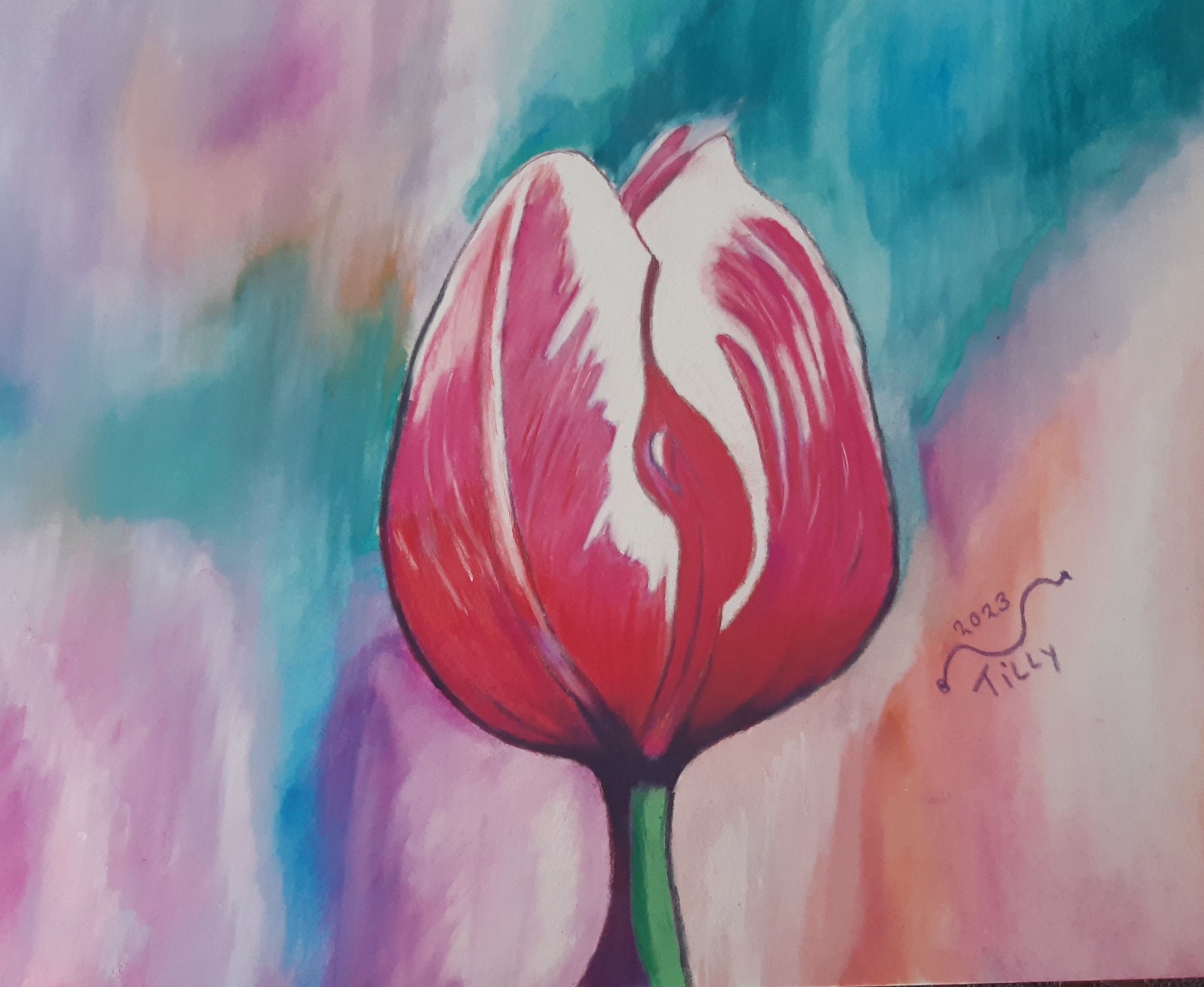 De rode tulp image