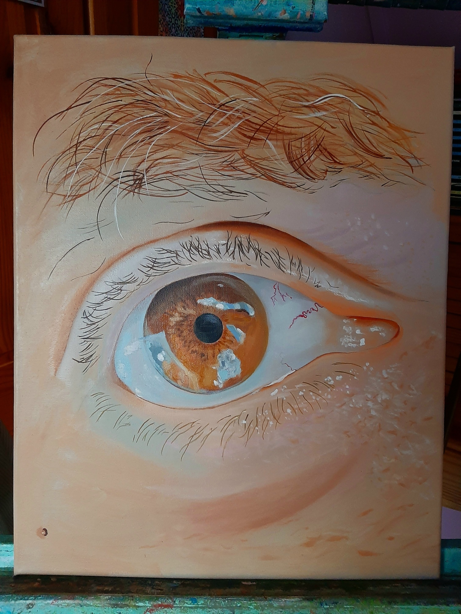 Het oog image