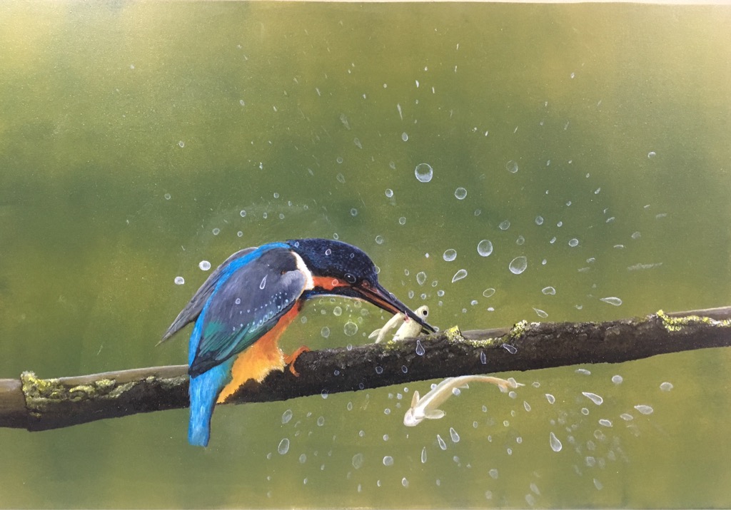 IJsvogel met drie visjes image