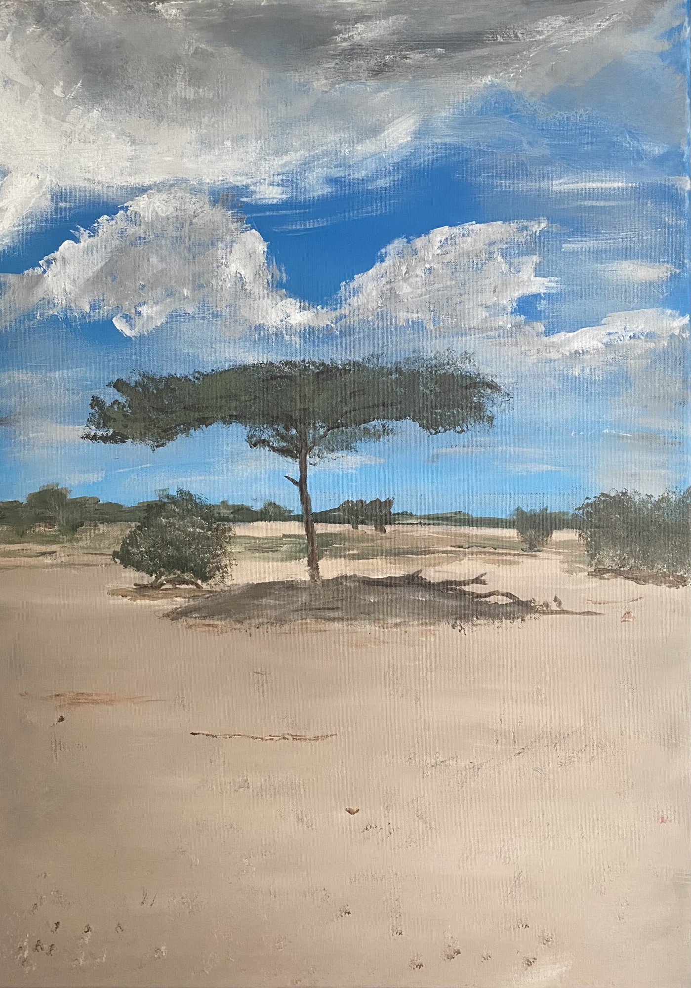 Blik op Tanzania image