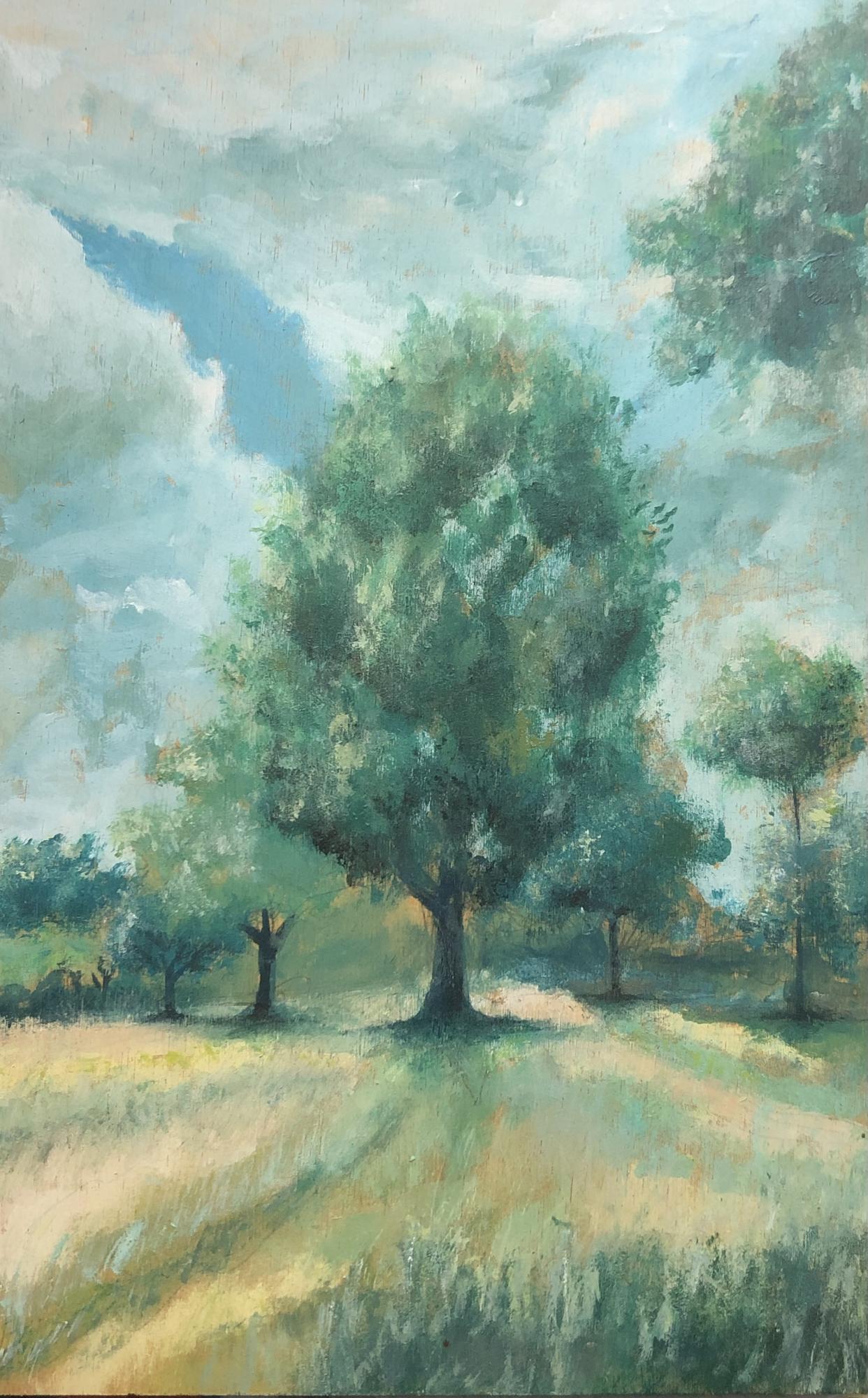 Landschap in Twente image