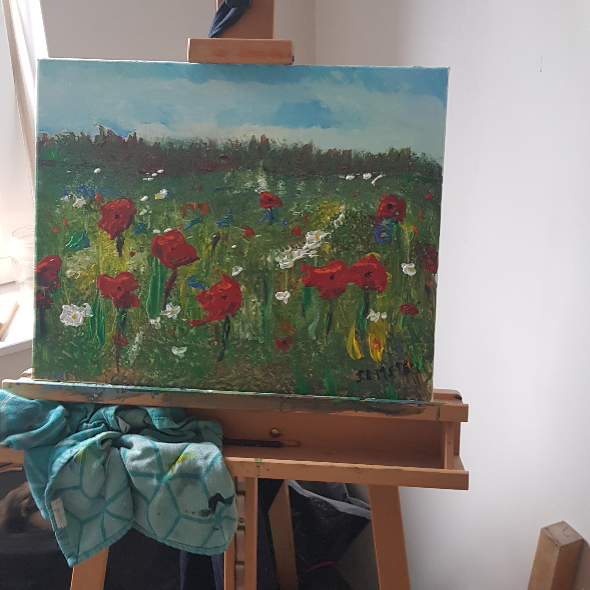 Veld met klaprozen image