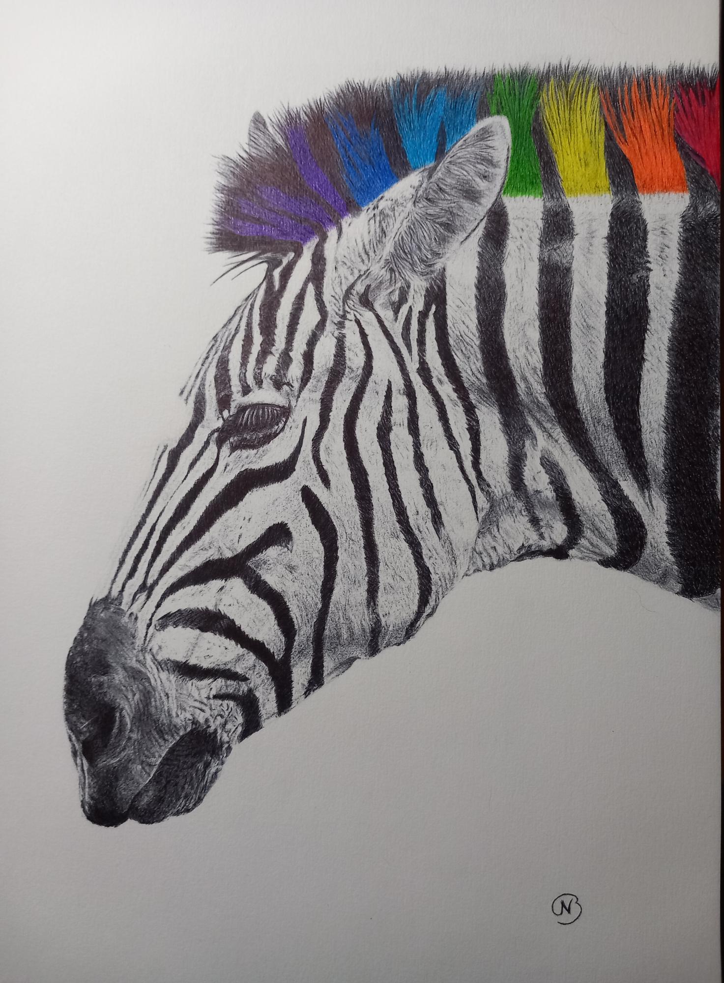 ZEBRAURA image