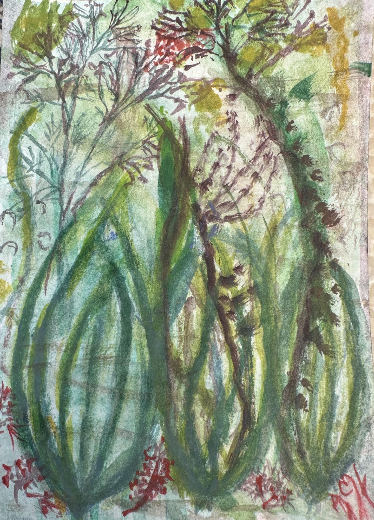 Display of Sea weeds image