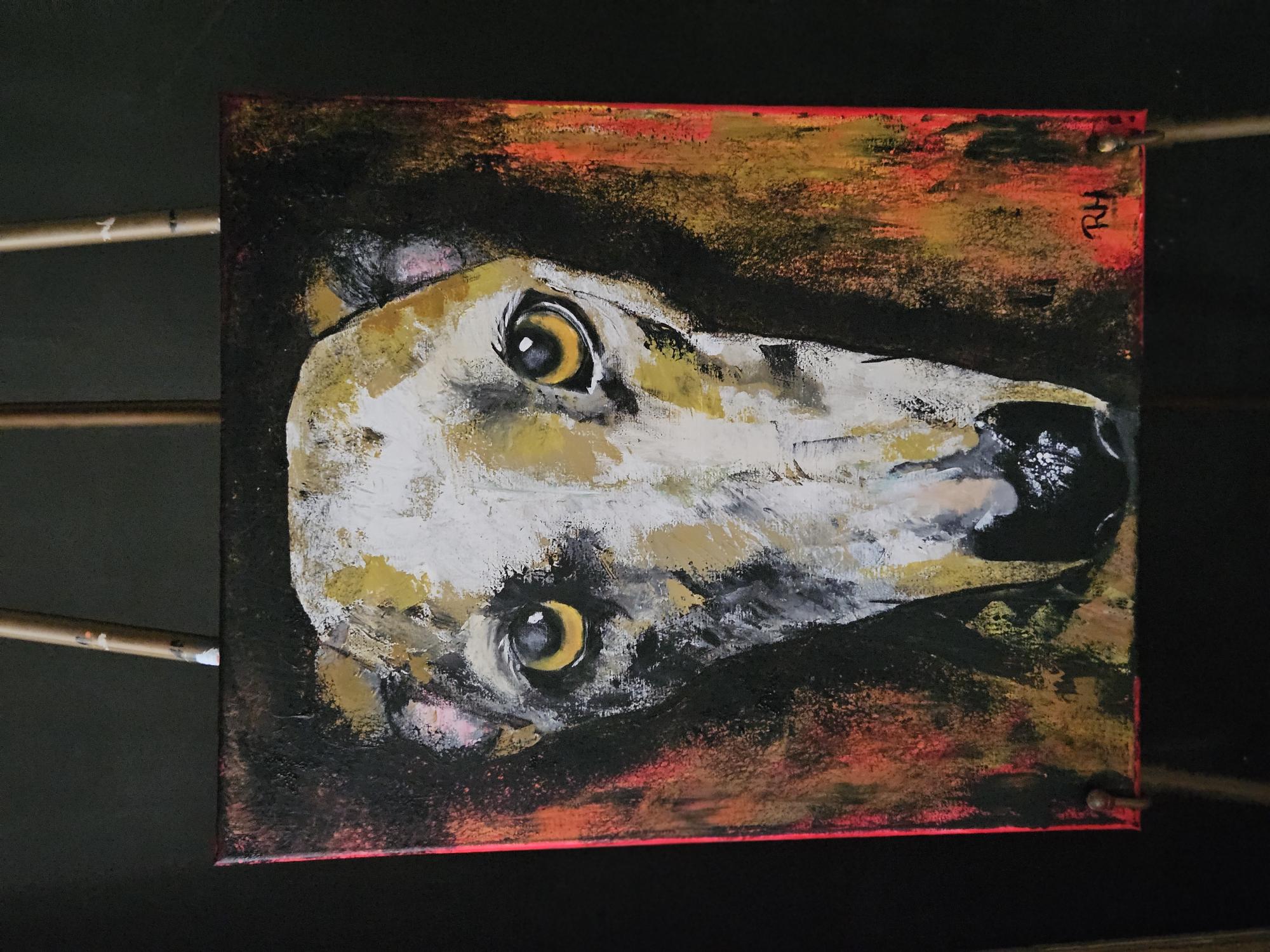 Galgo image