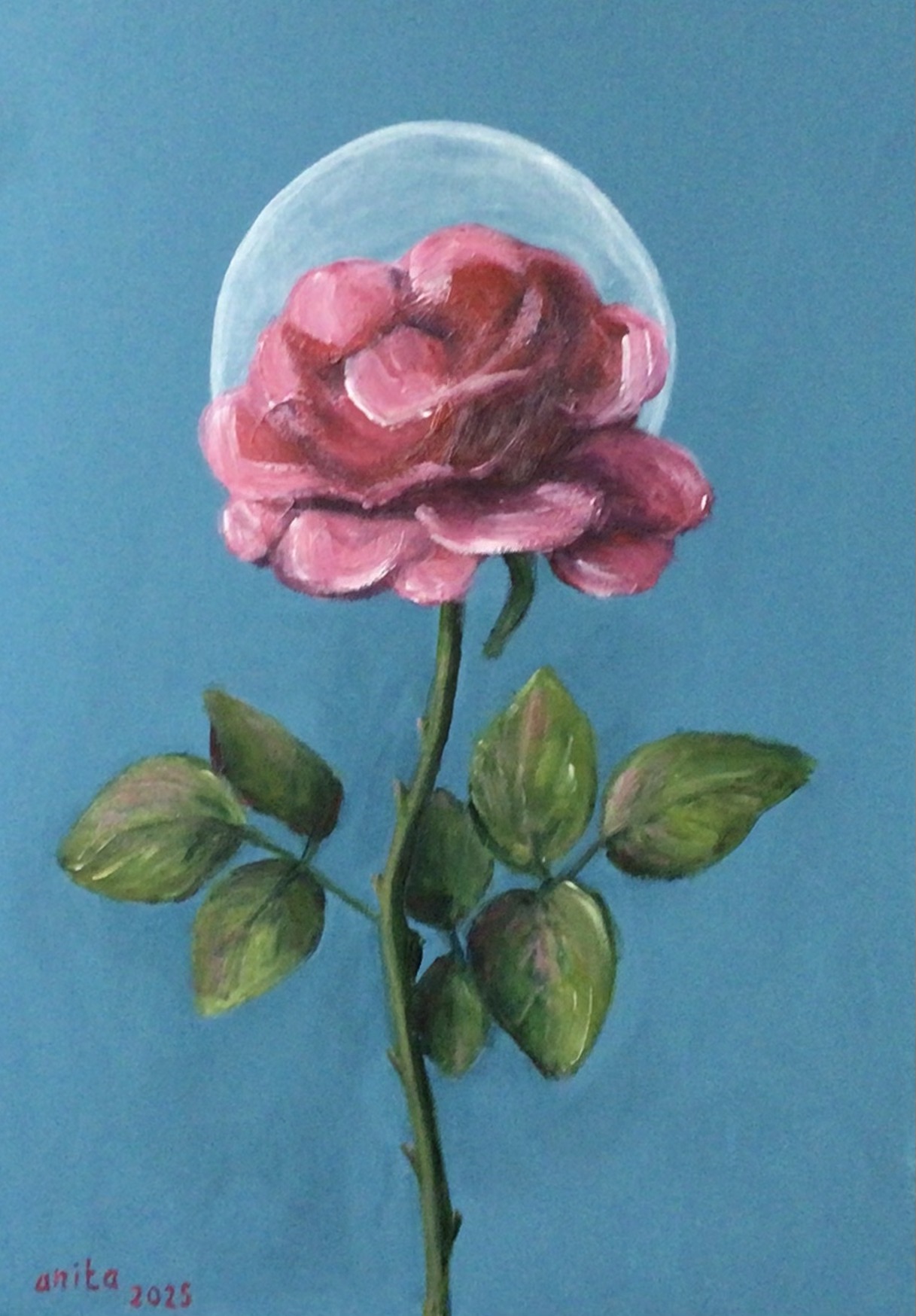 Roos image
