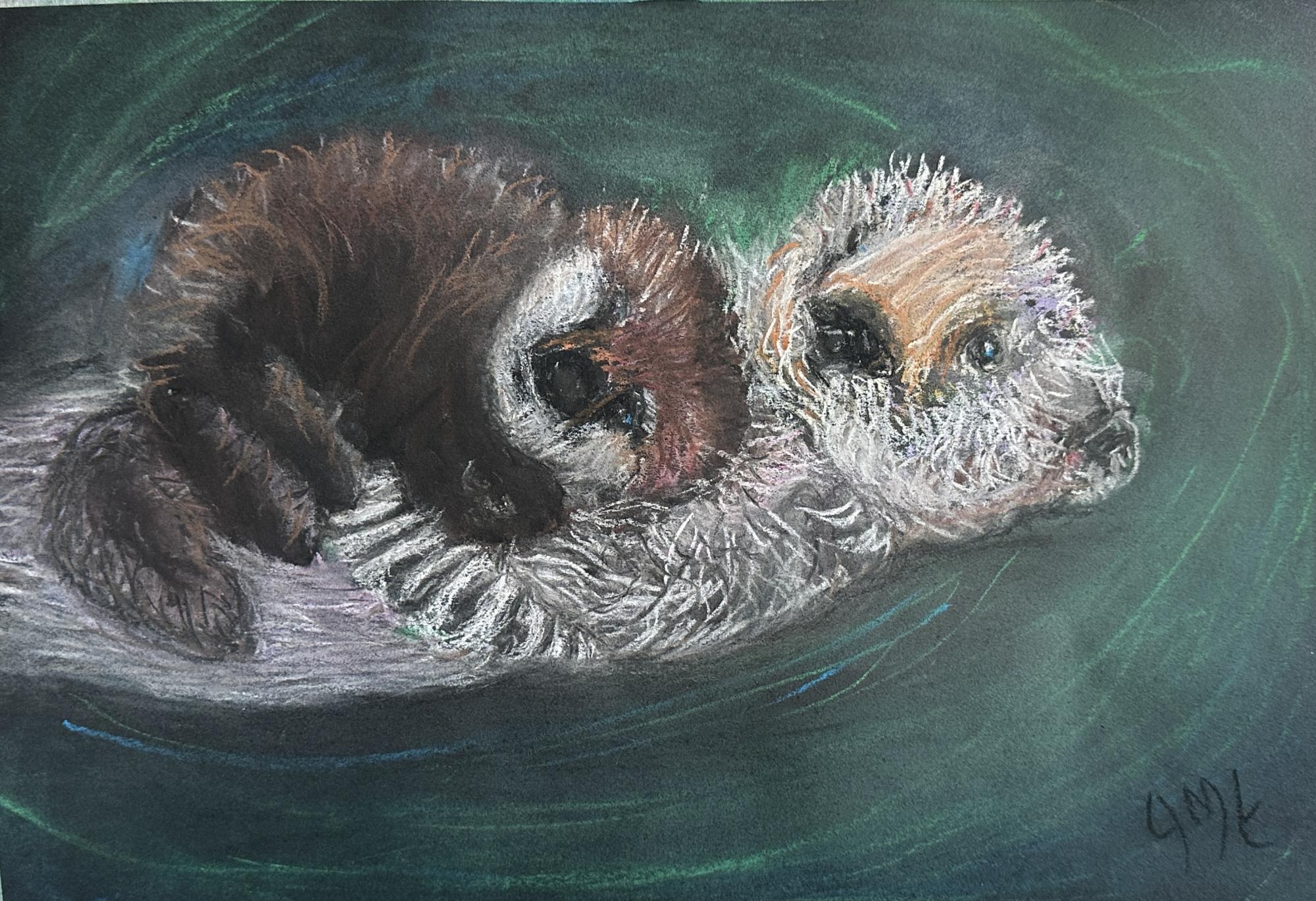 Otters image
