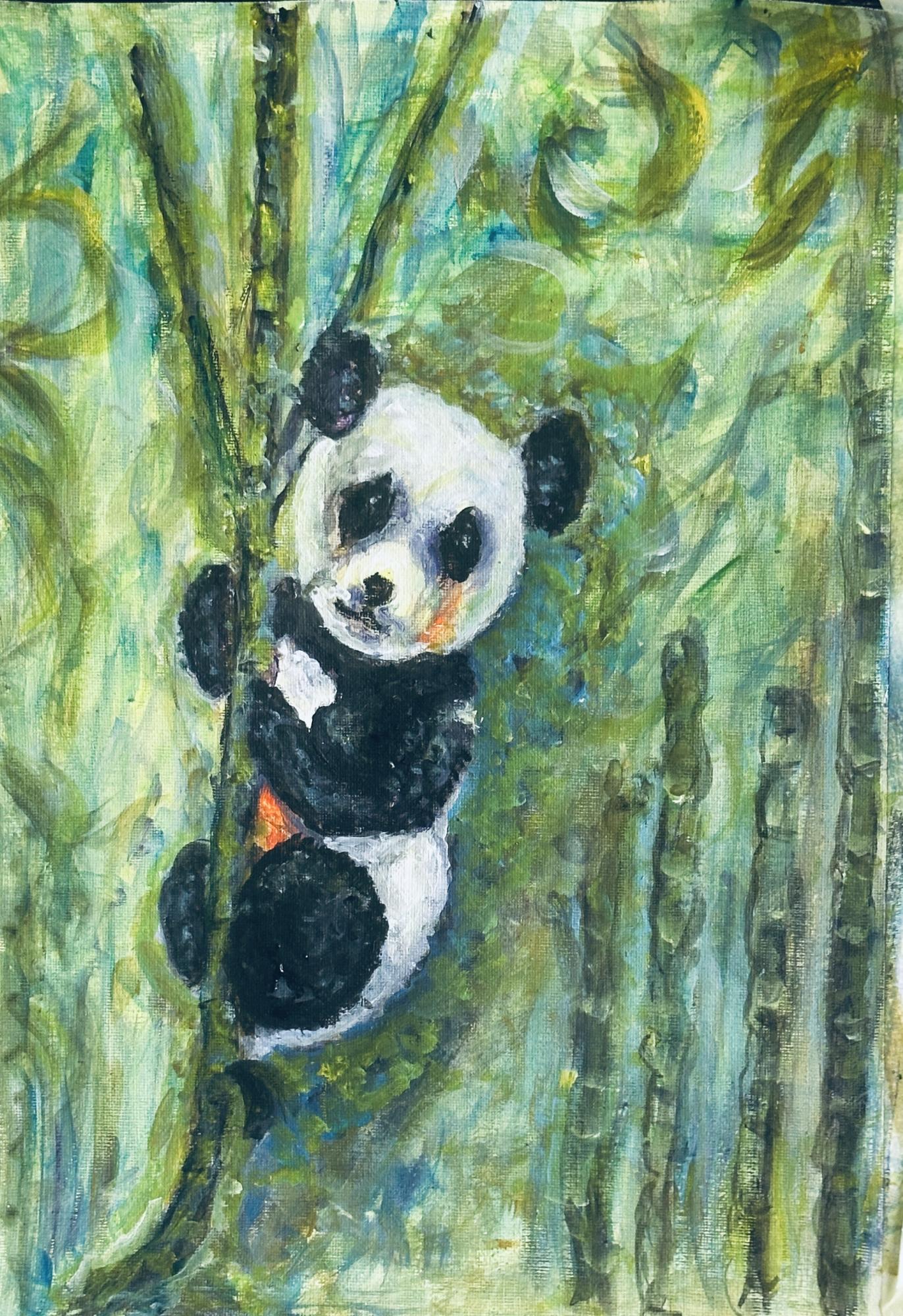 Panda image