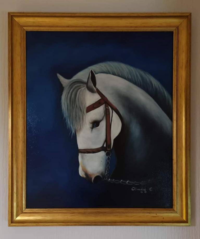 Horse portrait  image