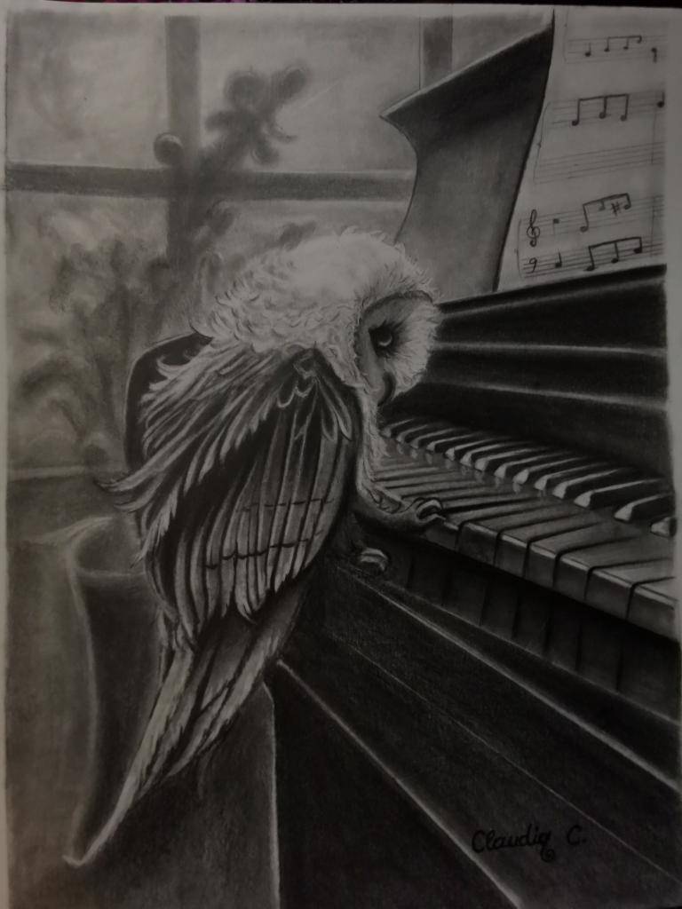 Owl playing piano  image
