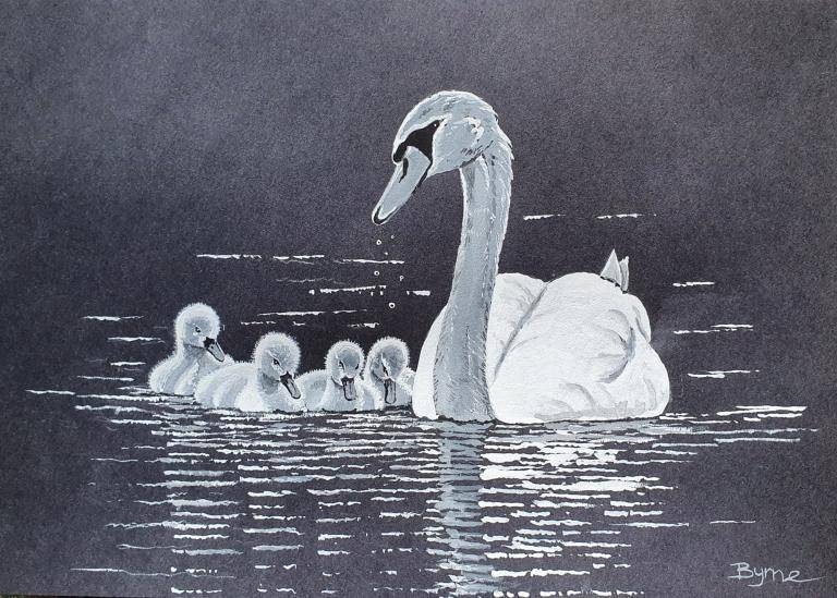 Swans image