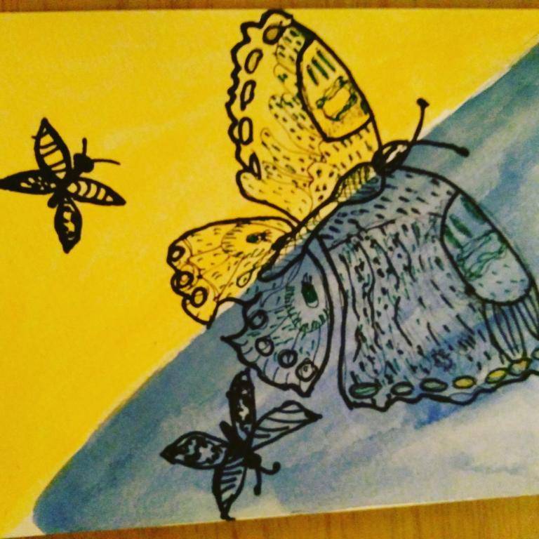 Butterfly's image