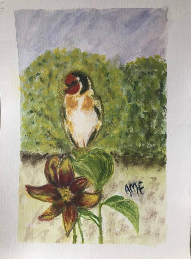Goldfinch on Lily image