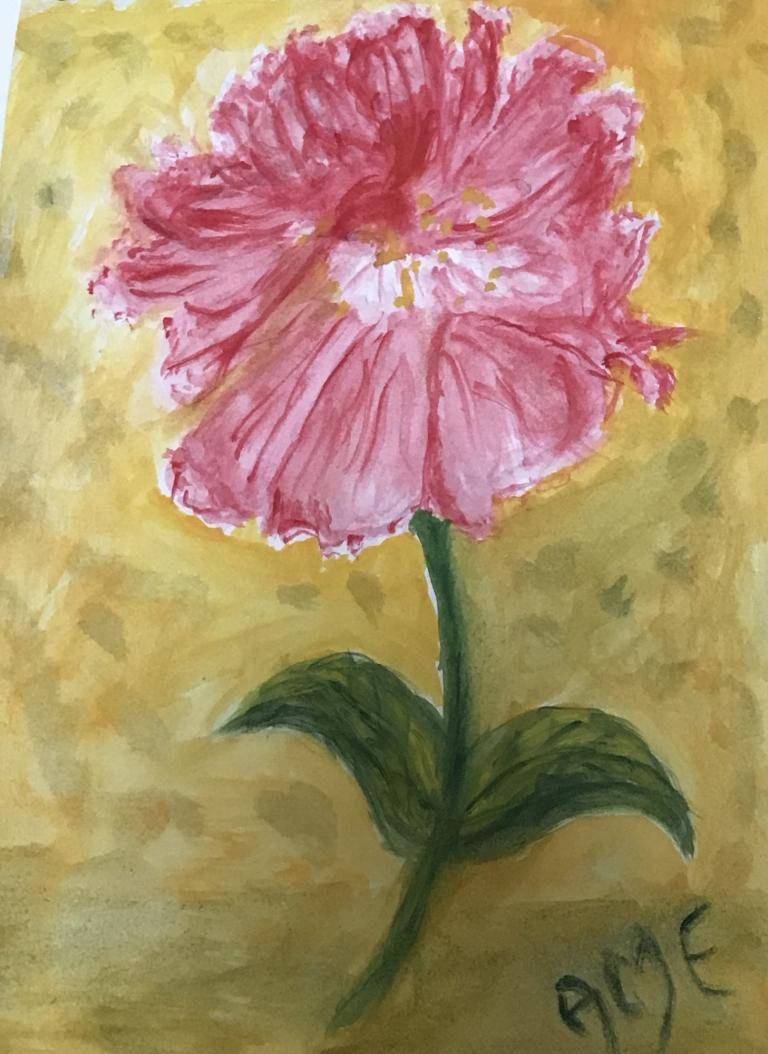 Peony image