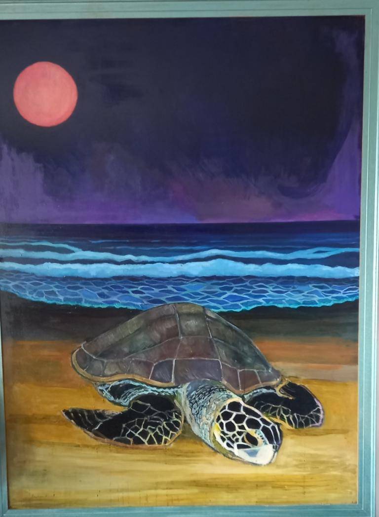 Sea turtle on beach image