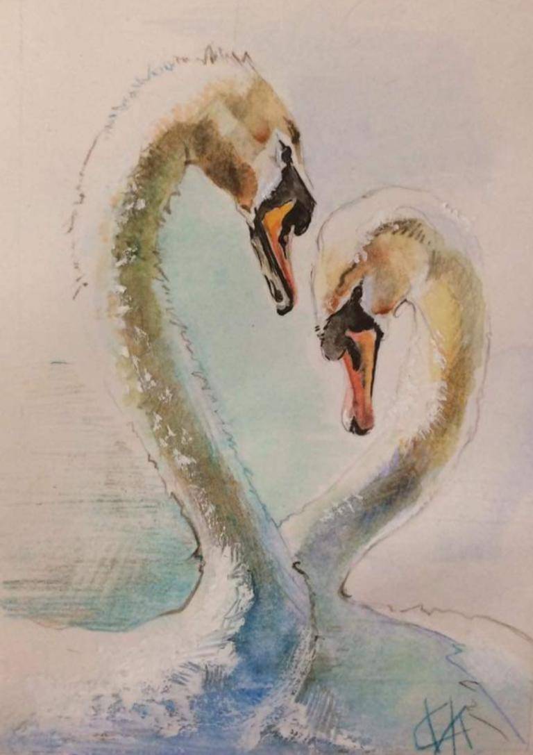 Swans  image