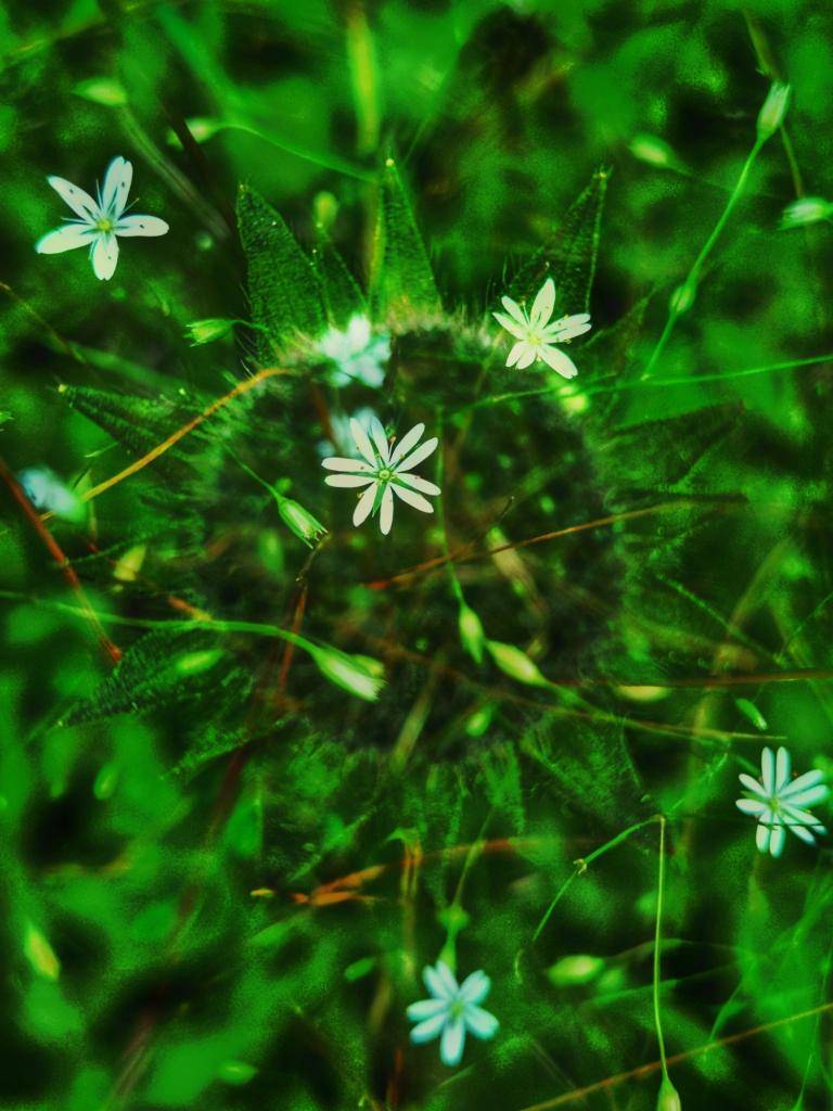FRAGILE LOVE FRAGILE LOVE image