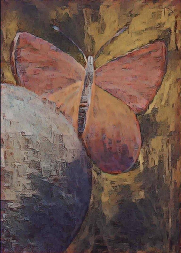 the butterfly effect image