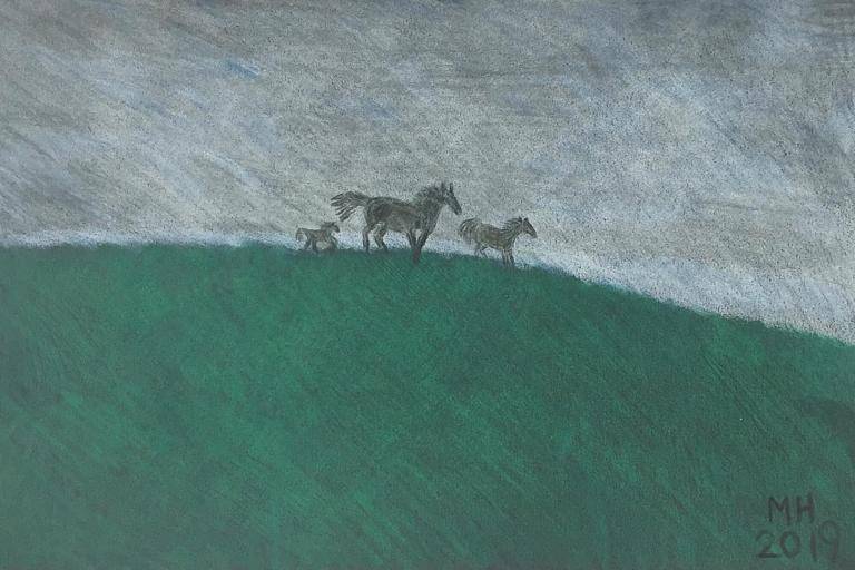 horses on the hill image