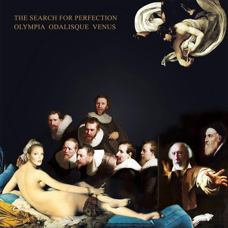 The Search for Perfection image