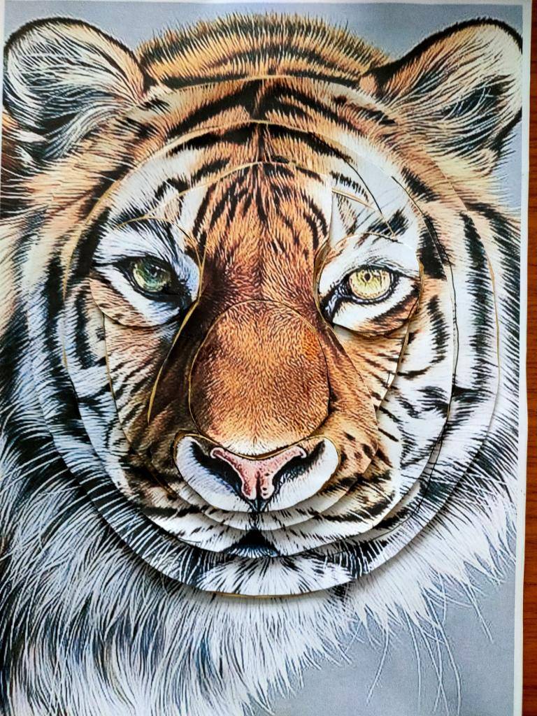 Tiger Tiger Burning Bright  image