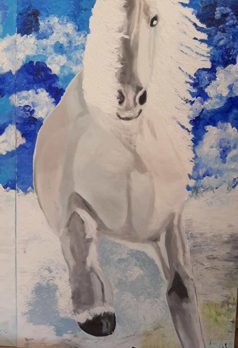 White horse image