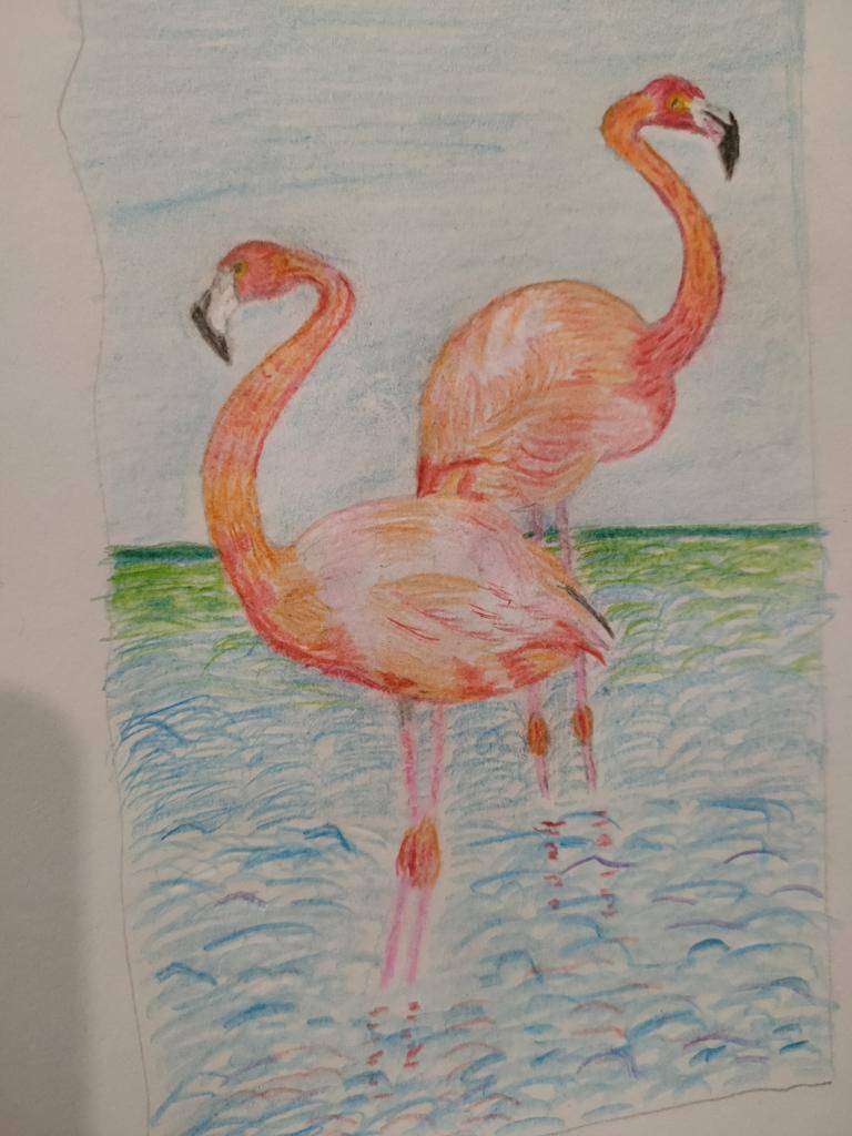 Flamingoe's in Pastel image