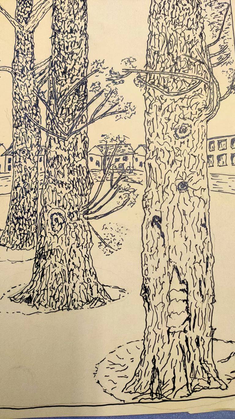 Trees in Pen & Ink image