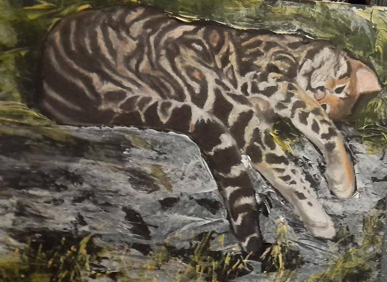 Sleeping Ocelot image