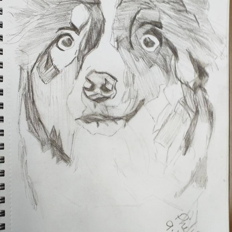 Doggie sketch image
