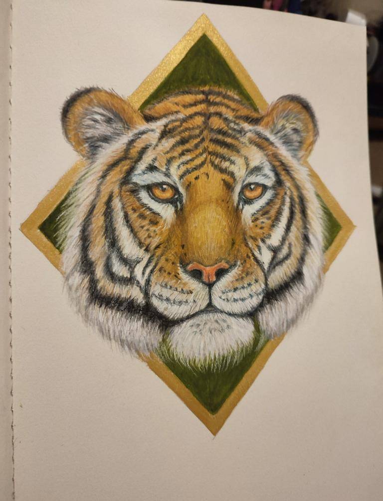 Tiger  image