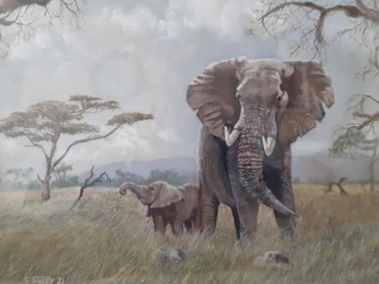 Serengeti Serengeti image