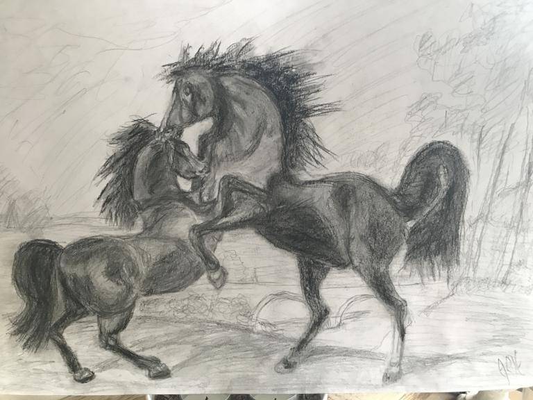 Sparring Horses Sparring Horses image