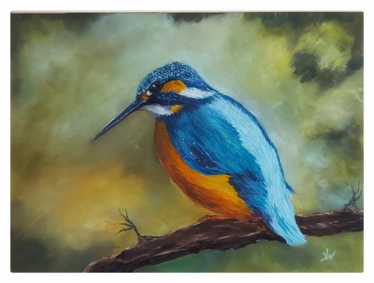 Ijsvogel image