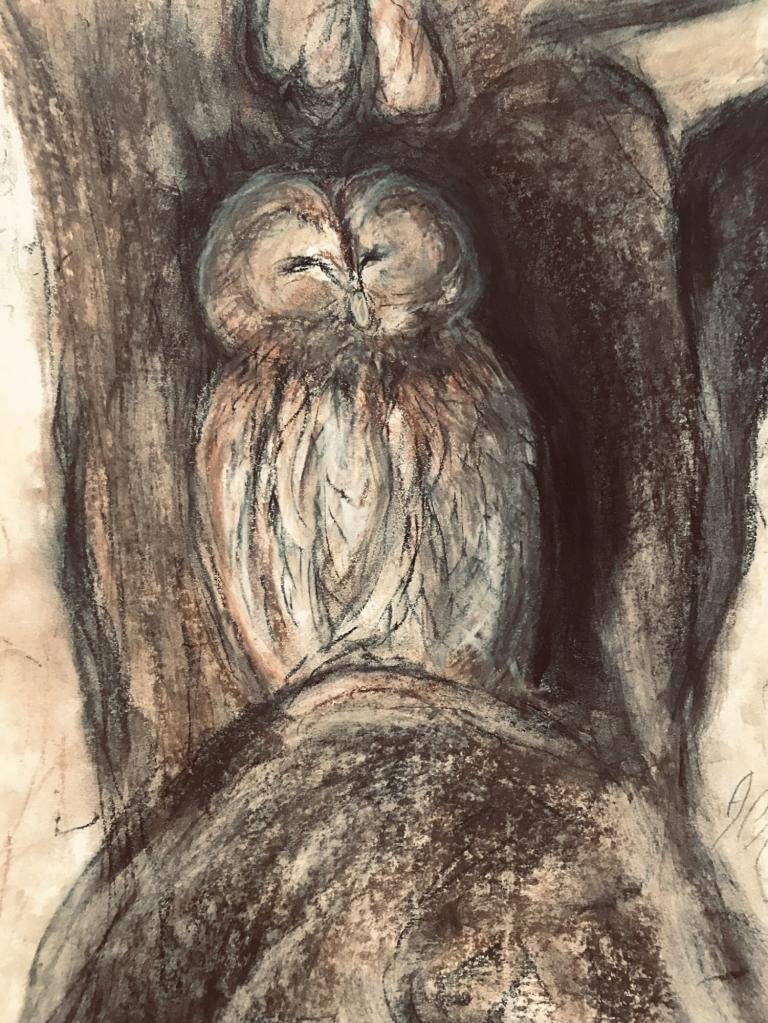 Wise Owl image