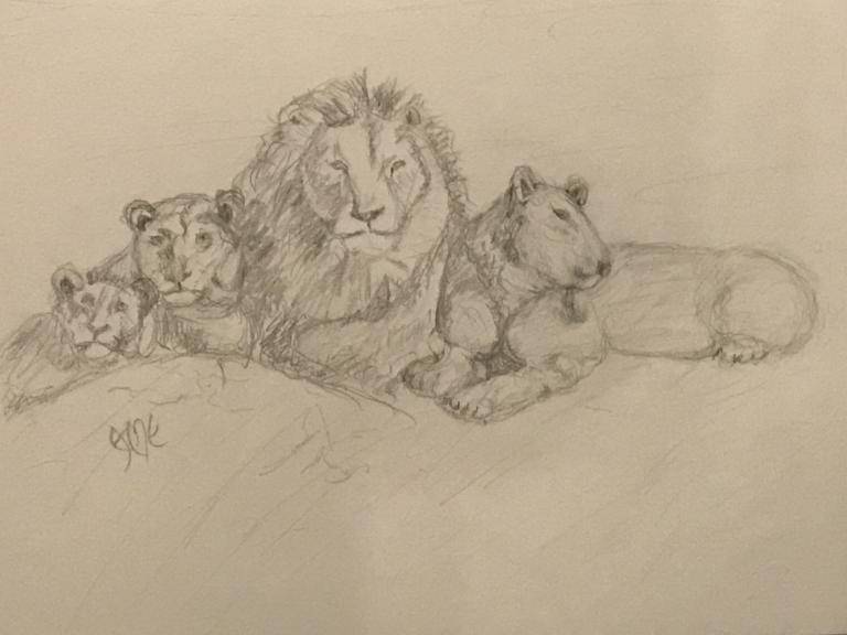 Lions Lions image
