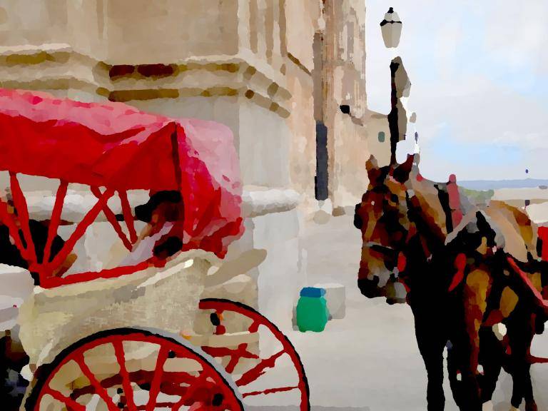 Horse and Carriage image
