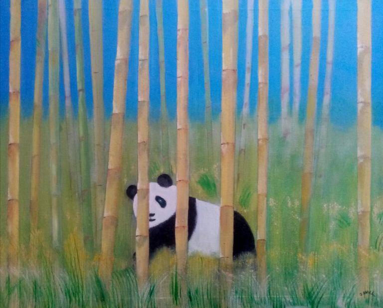 Panda in Bamboo image