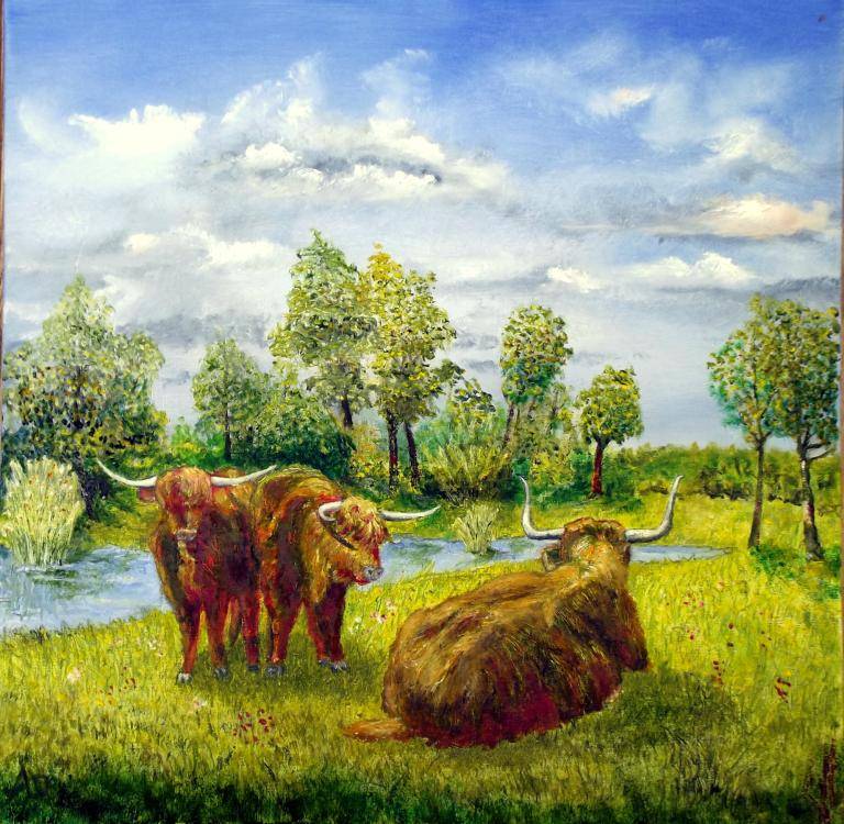 Highland cows image