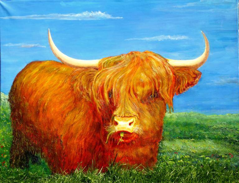 Highland cow image