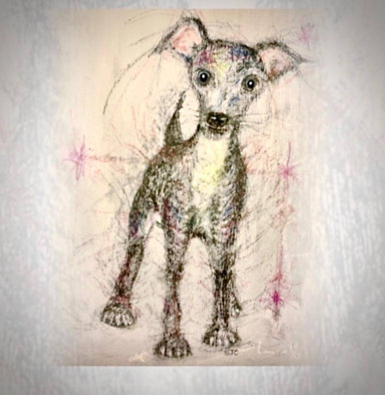 Greyhound Puppy image
