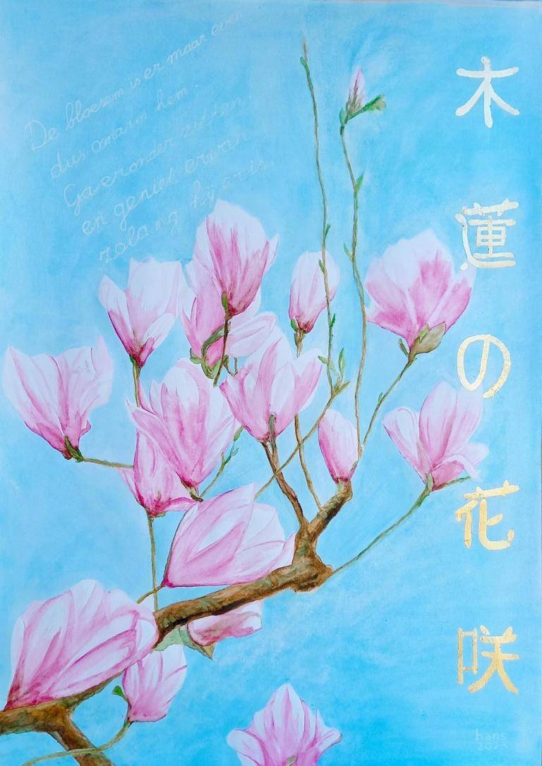 Magnolia Magnolia image