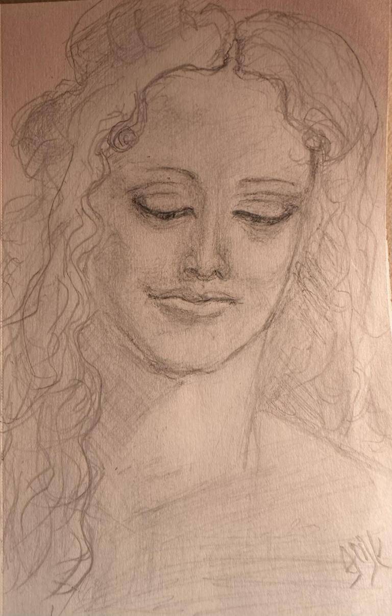 Head of a female - Da Vinci image