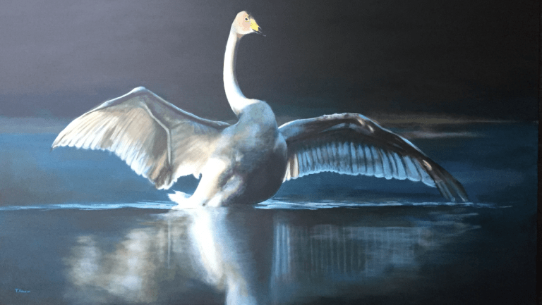 Swan image
